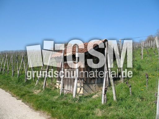 Weil am Rhein Weiler Weinweg 009.jpg